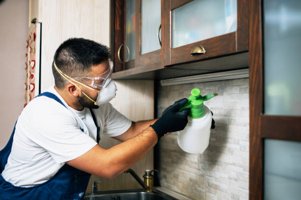 Best Commercial Pest Control Services  in Calhoun, GA
