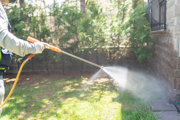 Pest Control for Restaurants in Calhoun, GA